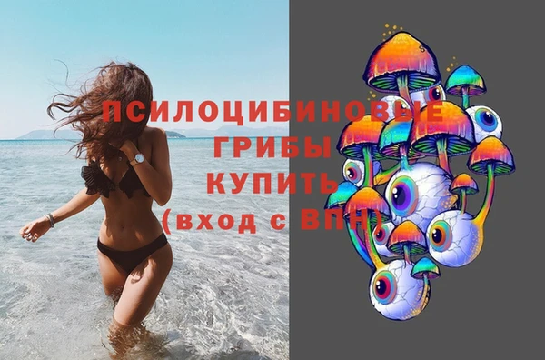 бутират Алзамай